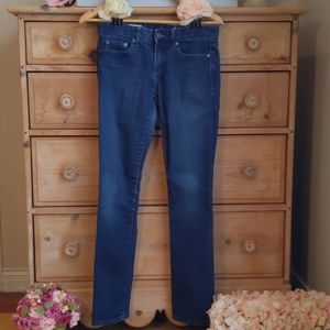 Gap 1969 Real Straight Jeans Size 26